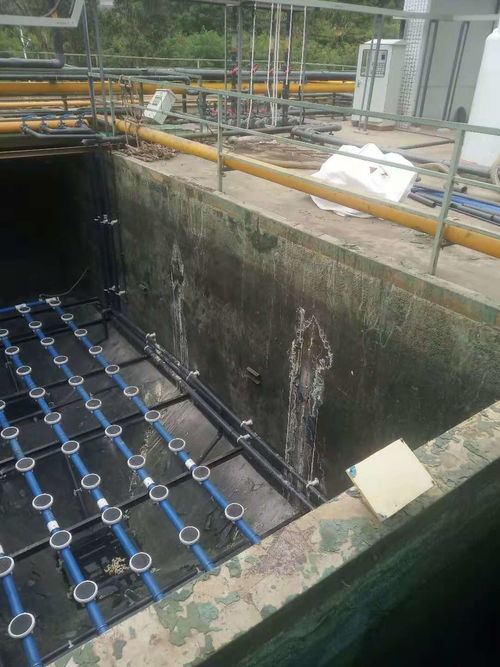 仲恺高新区厕所防水工程做二次排水,广东惠州专业防水补漏公司